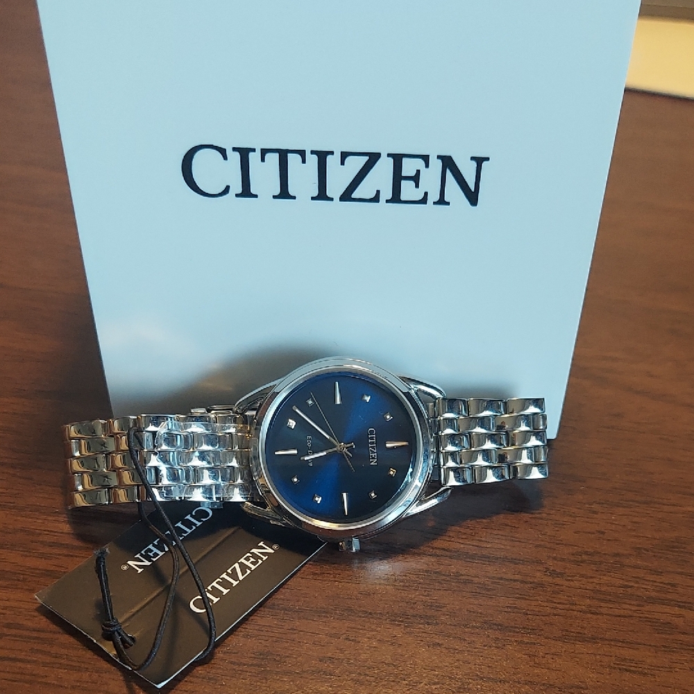 Citizen Classic Silver and Blue Timepiece